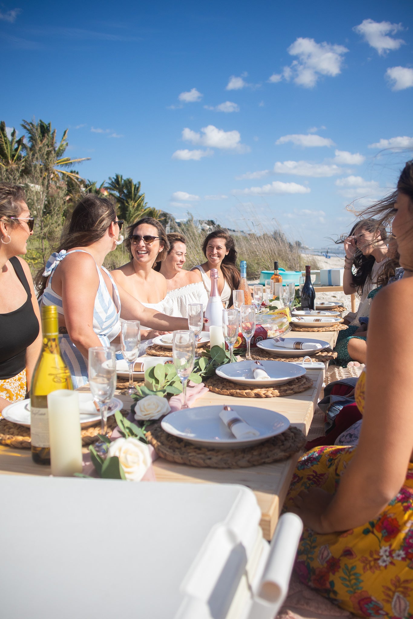 birthday parties with picnic goals in bonita springs, Florida