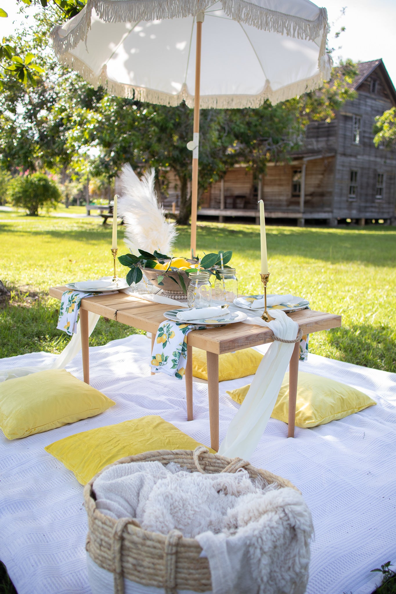 picnic date in estero florida