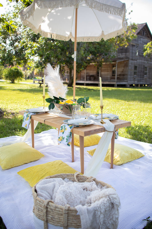 picnic date in estero florida