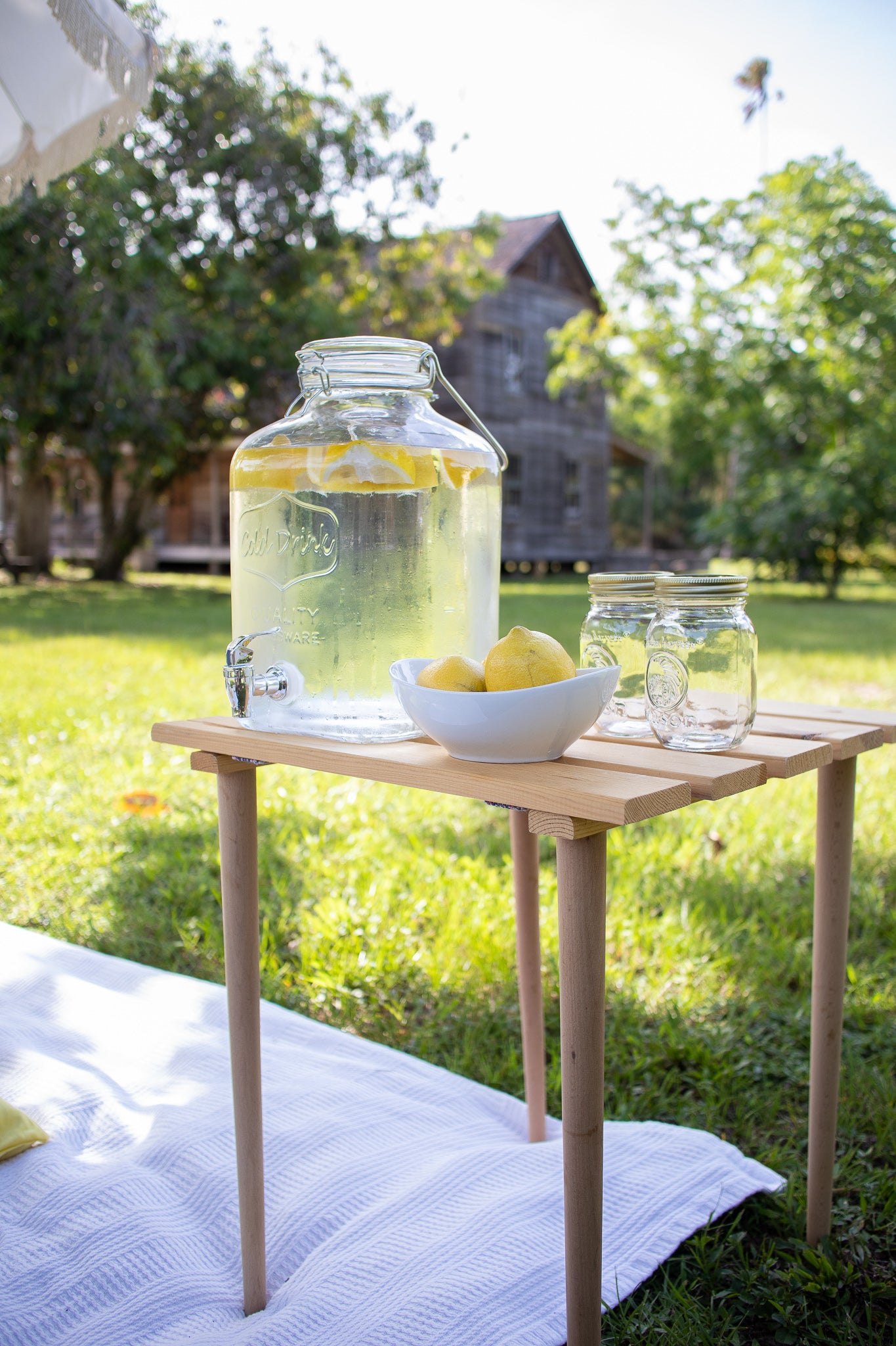 picnic refreshment stand