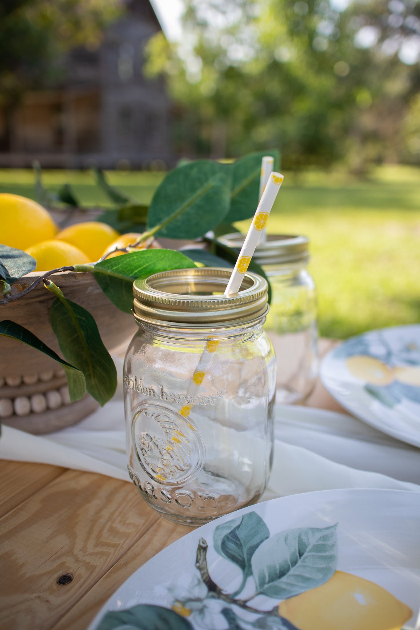 picnic company by FGCU picnic goals