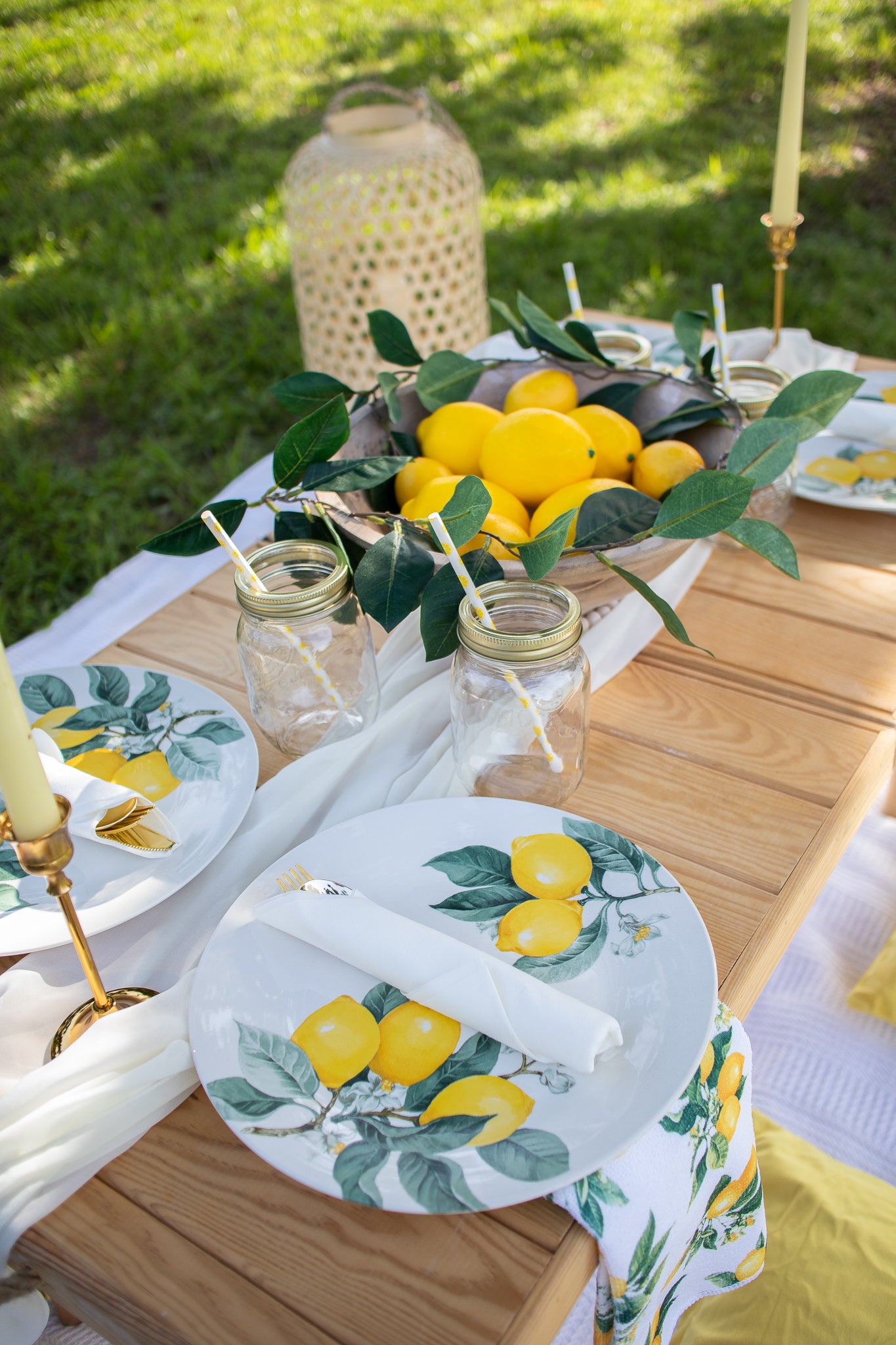 picnic goals at koreshan state park